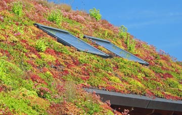 Llanynghenedl living roof systems