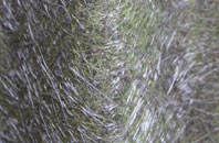 Llanynghenedl fibreglass roof work